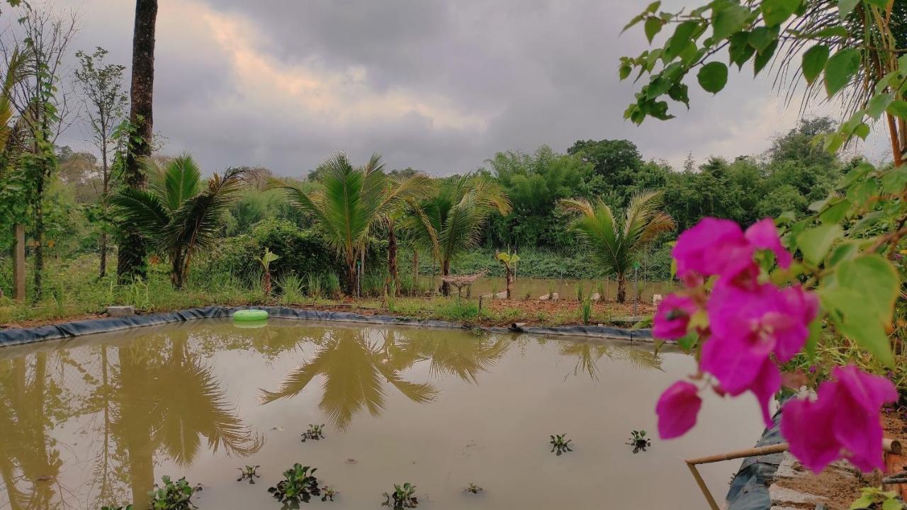 Homestay Dat Viet Cat Tien Bagian luar foto